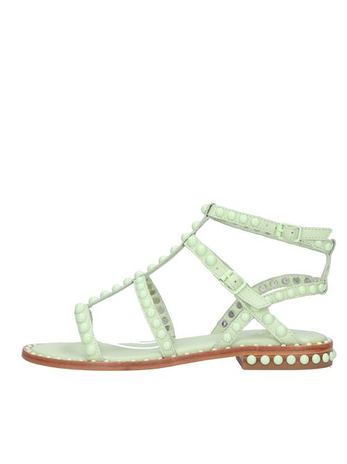 Sandali flat in pelle ASH | PRECIOUS BISSEAFOAM